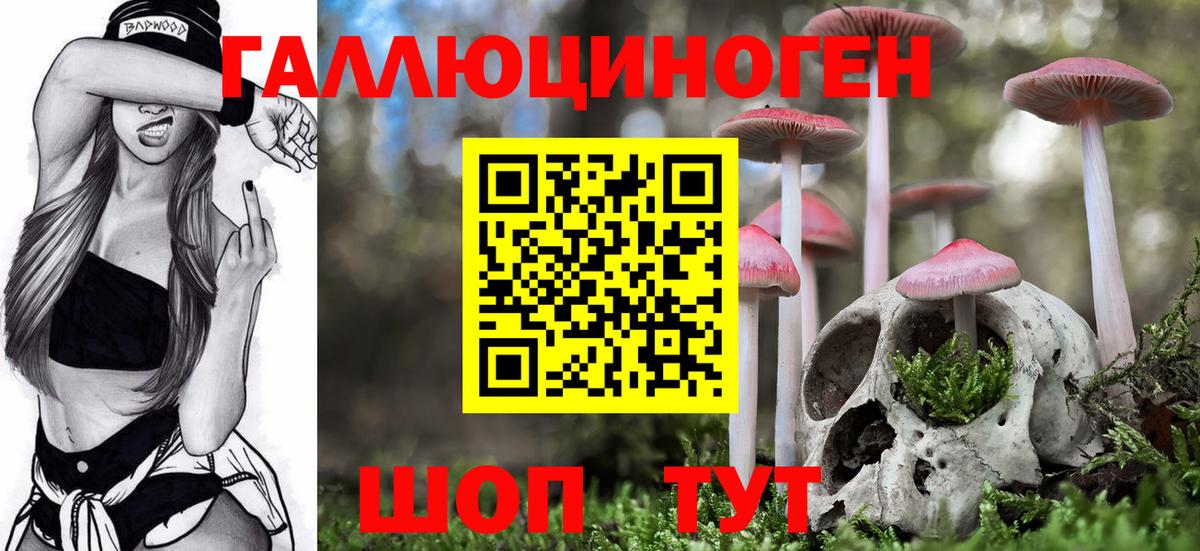 Тавда  Галлюциногенные грибы мухоморы  где купить наркоту  Вход с VPN 